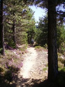 Et si on marchait ...