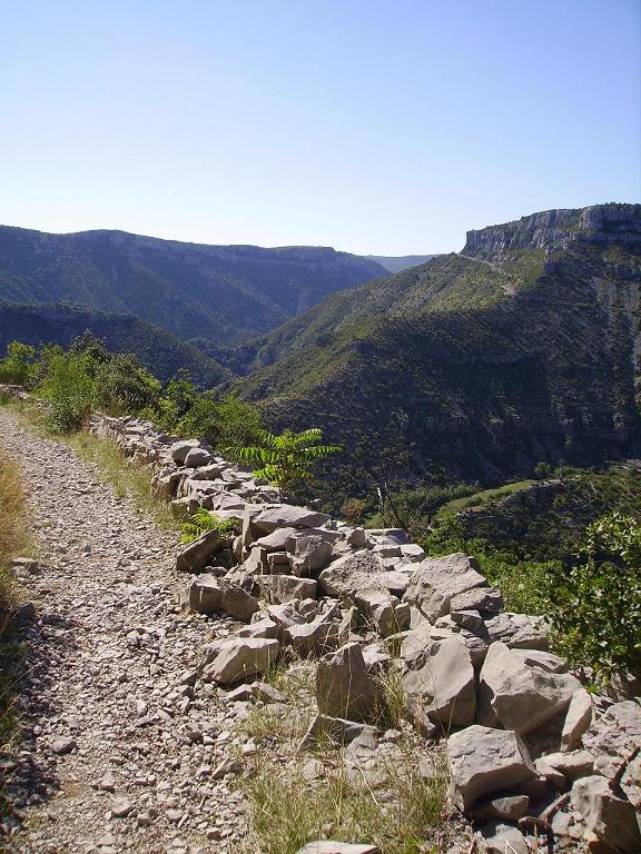 Anne-Sophie Delcoigne